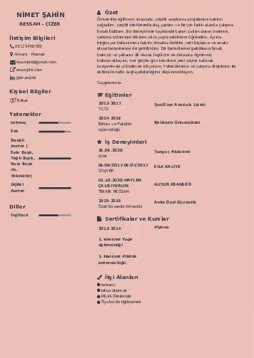 Ressam Cv Örnekleri cv indir